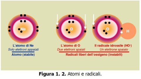 Radicali liberi - Misurazione stress ossidativo - Skin Center Pescara